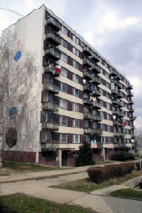 008.jpg