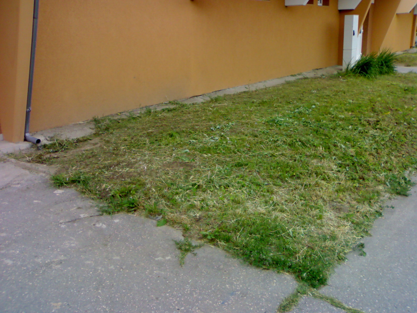 19072010319.jpg