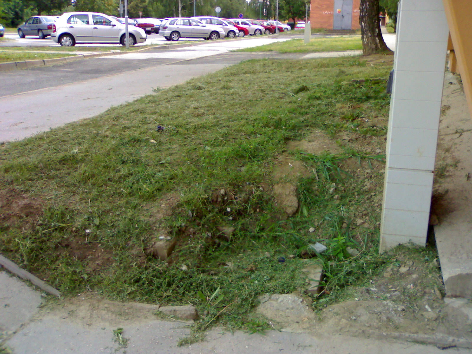 19072010320.jpg