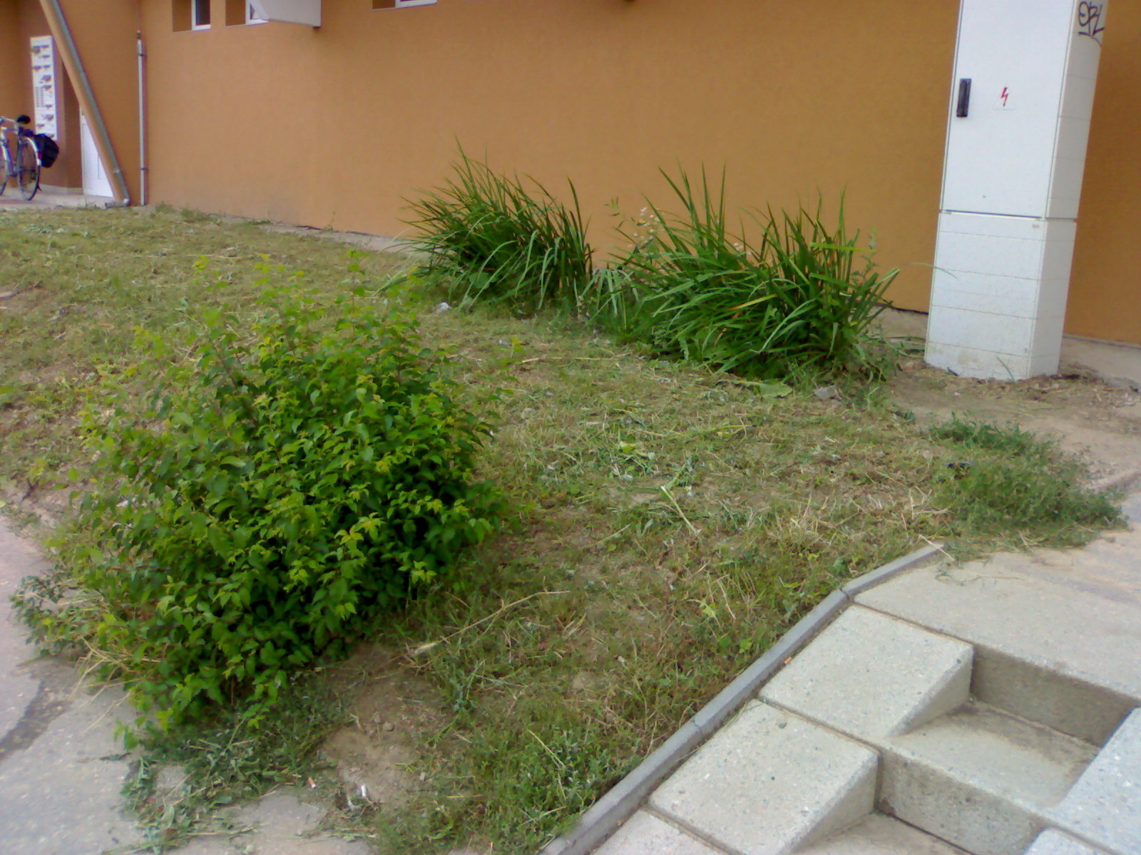 19072010325.jpg