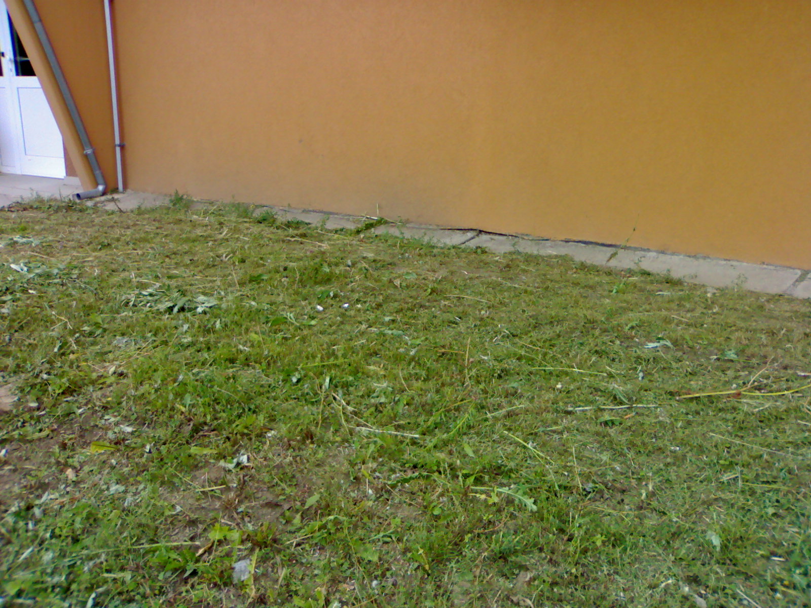 19072010327.jpg