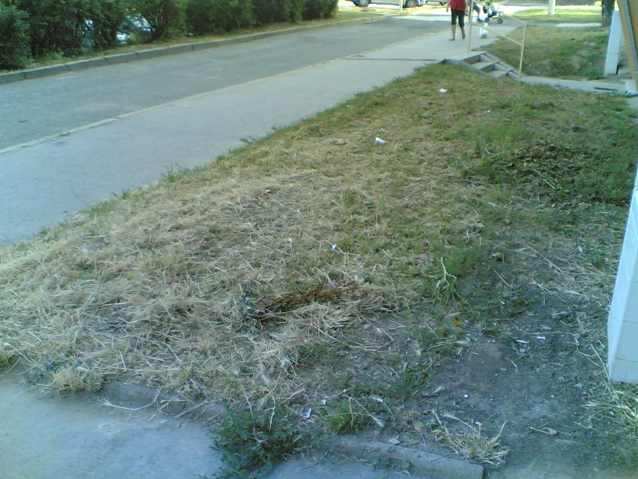 23072010(000).jpg