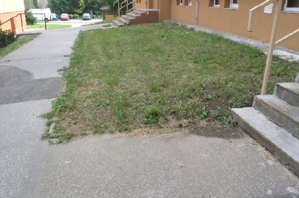 P7289388.JPG