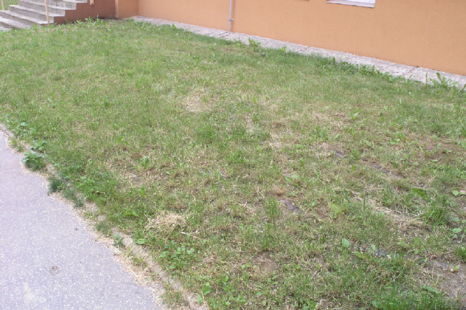 P7289390.JPG
