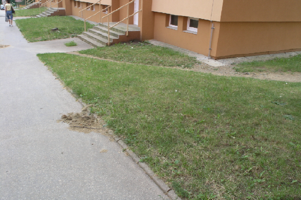 P7289391.JPG