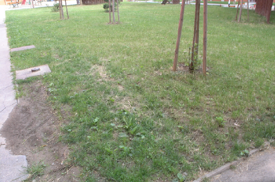 P7289393.JPG