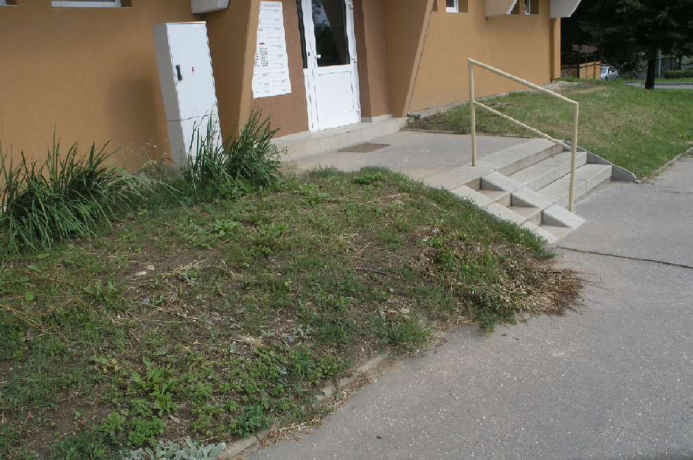 P7289397.JPG