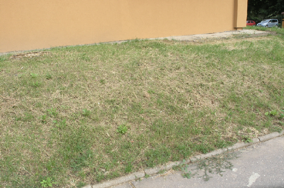 P7289398.JPG