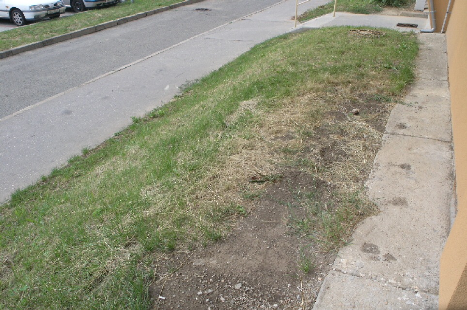 P7289400.JPG