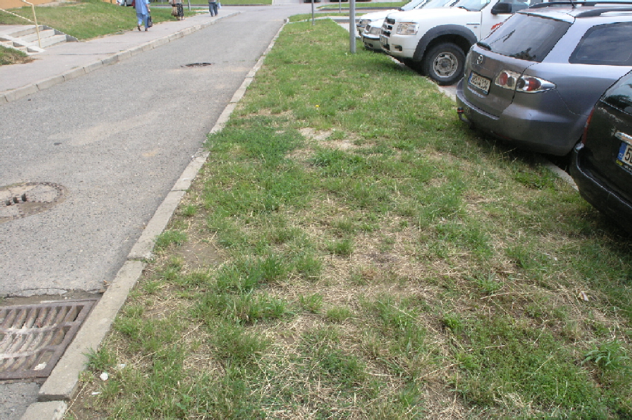 P7289402.JPG