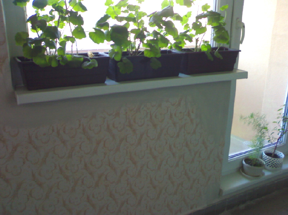 06042010150.jpg
