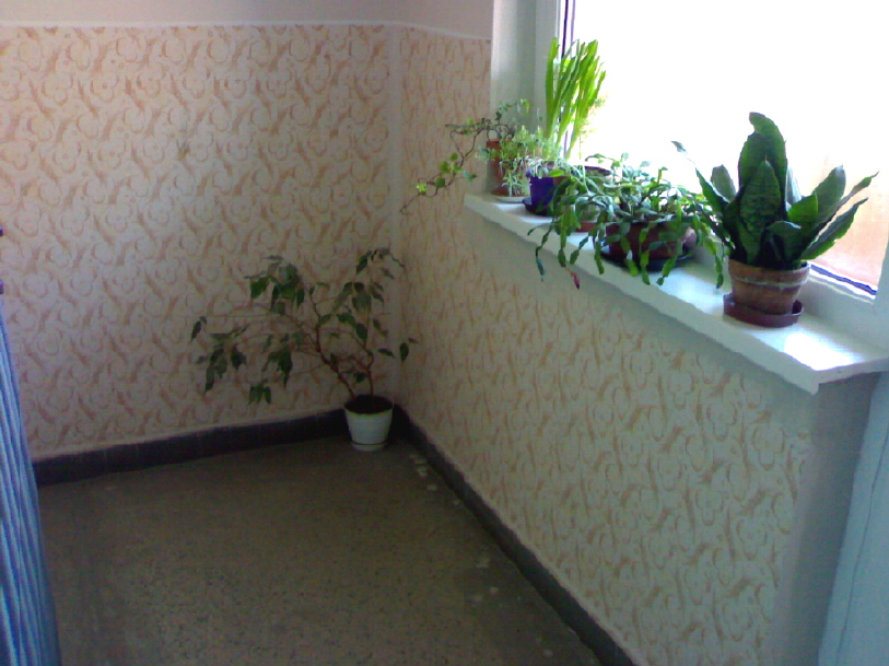 06042010153.jpg