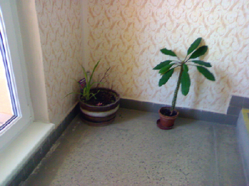 06042010154.jpg