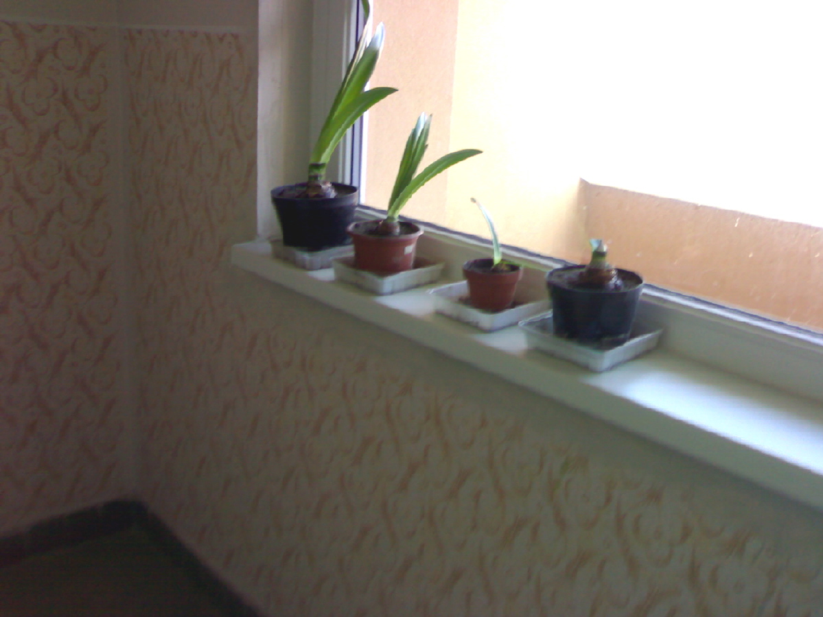 06042010155.jpg