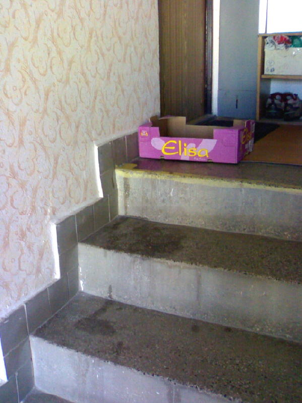 06042010157.jpg