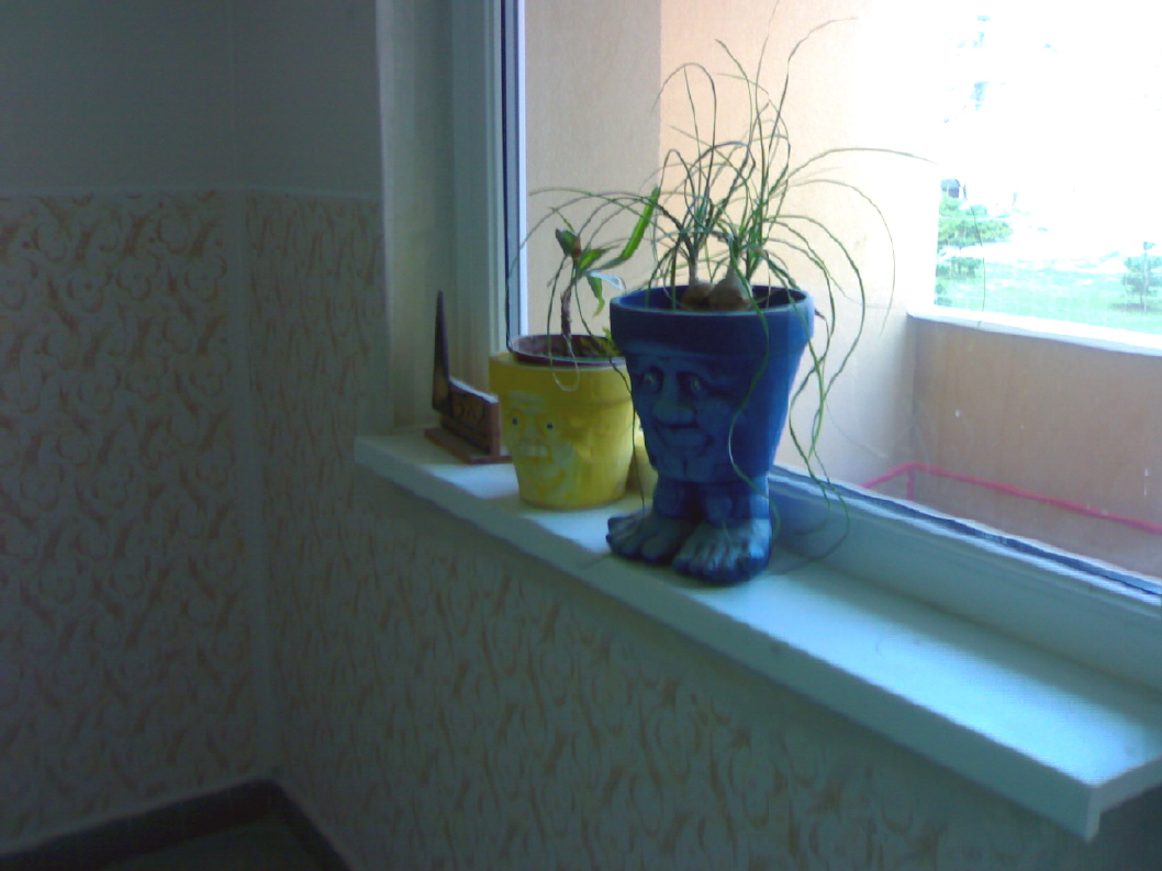 06042010163.jpg