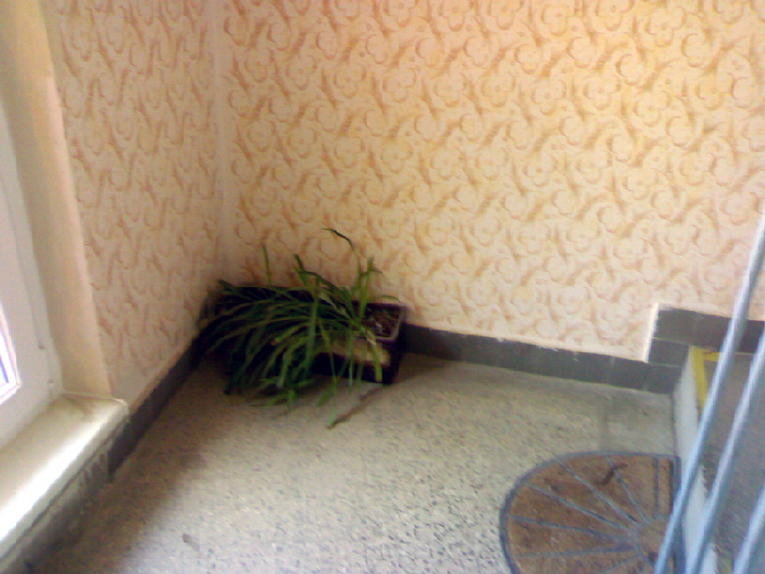 06042010165.jpg