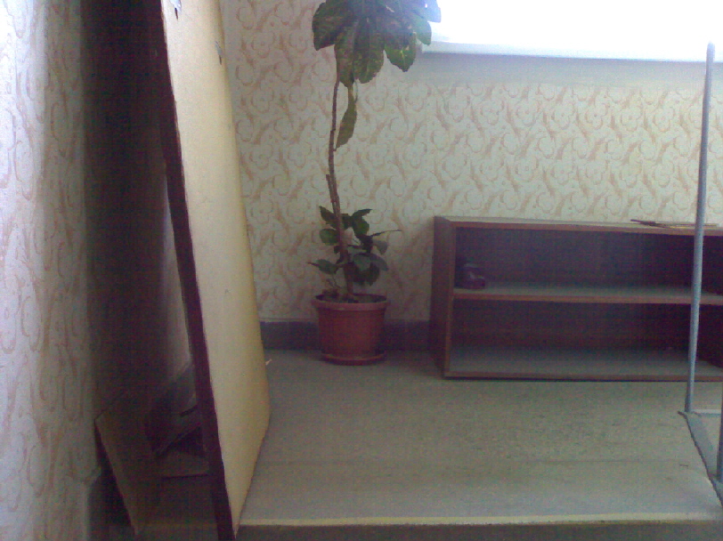 06042010140.jpg