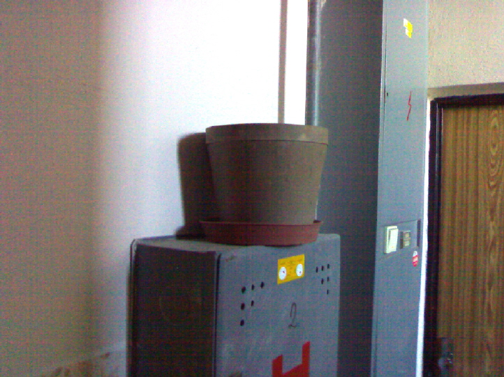 06042010142.jpg