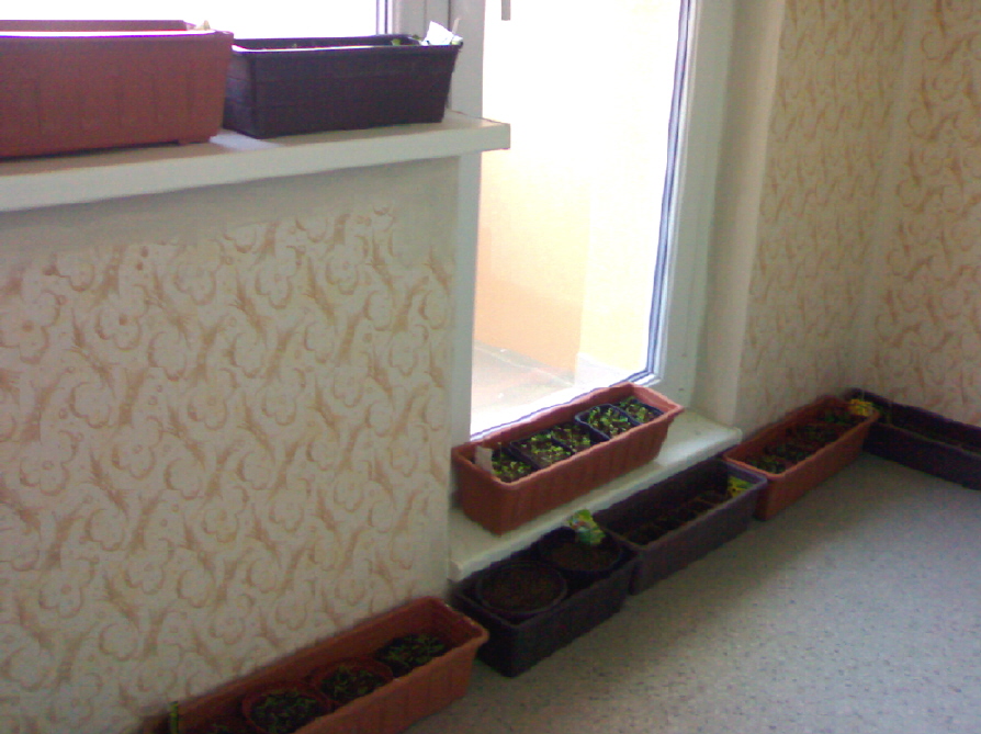 06042010146.jpg